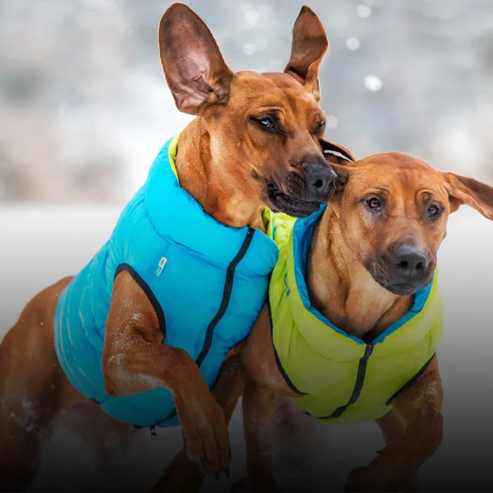 Private Label Pet Apparel – Dogs, Cats & Small Pets