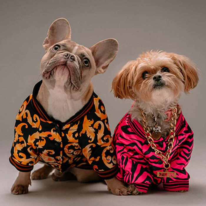 Premium Custom Pet Clothes – Designed & Made in USA