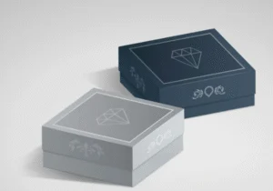 Kraft and Branded Boxes