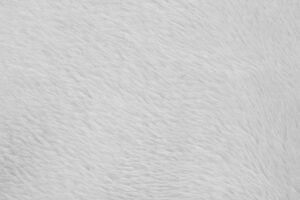 Cotton Fleece